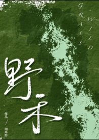 伪兄妹小说推荐吧